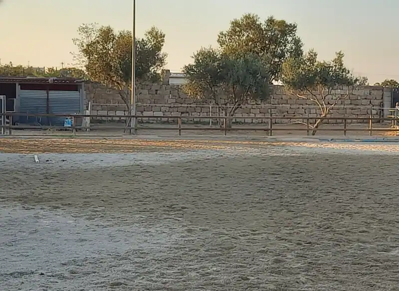 A.S.D. Eleventh Horse Club — Tricase