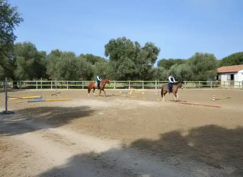 Balade à Cheval dans les Oliveraies d'Ostuni