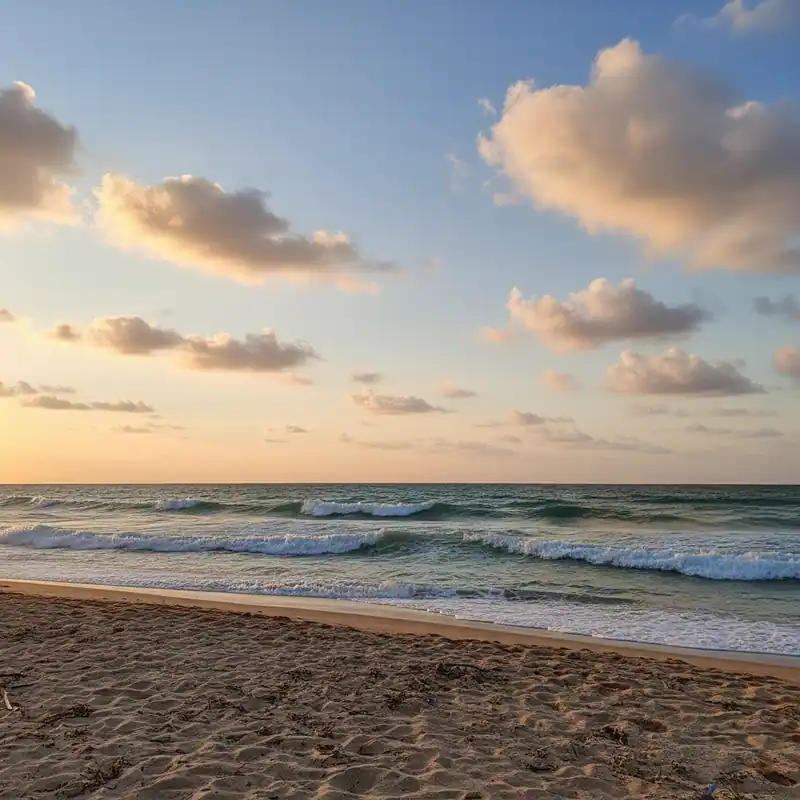 Spiaggia — -