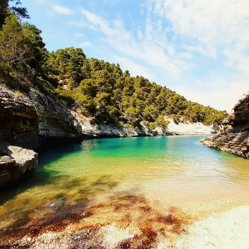 Spiaggia di Cala della Sanguinara — -