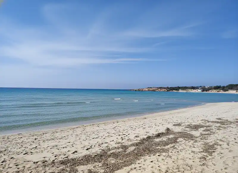 Caraibi — -