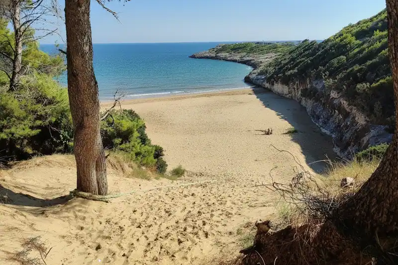 Stretta-Strand — -