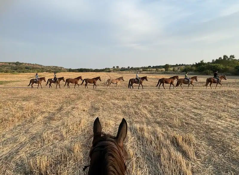 Reiten im Cosmo Ranch in Palagianello