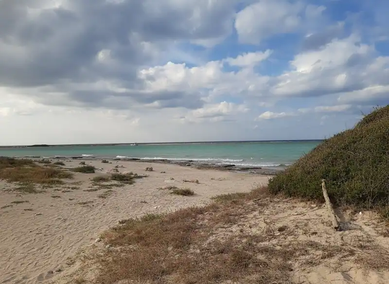 Bacino di Torre Chianca — Porto Cesareo