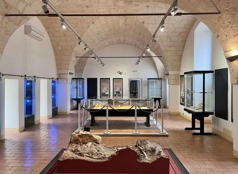 Museo di Civiltà Preclassiche della Murgia Meridionale — Ostuni