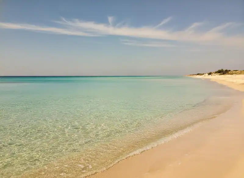 Posto Vecchio Beach — -