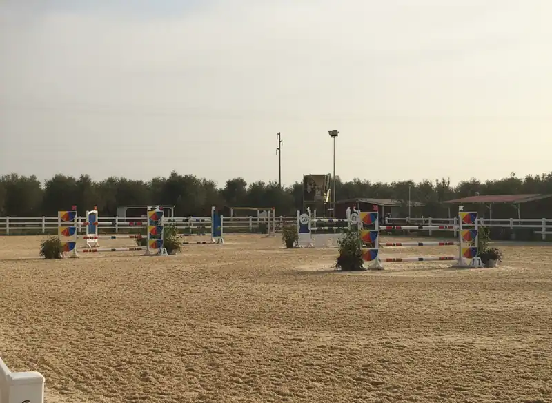 Scuderia Terra Degli Ulivi — Ruvo di Puglia
