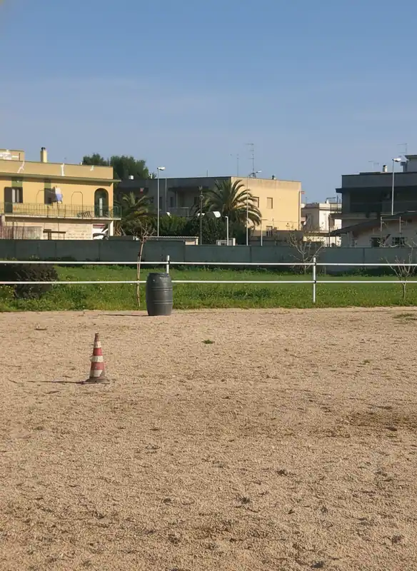 West Horse asd — Taranto
