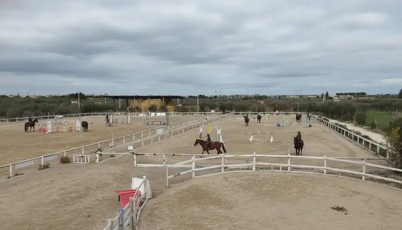 Riding Club Lobar — Valenzano