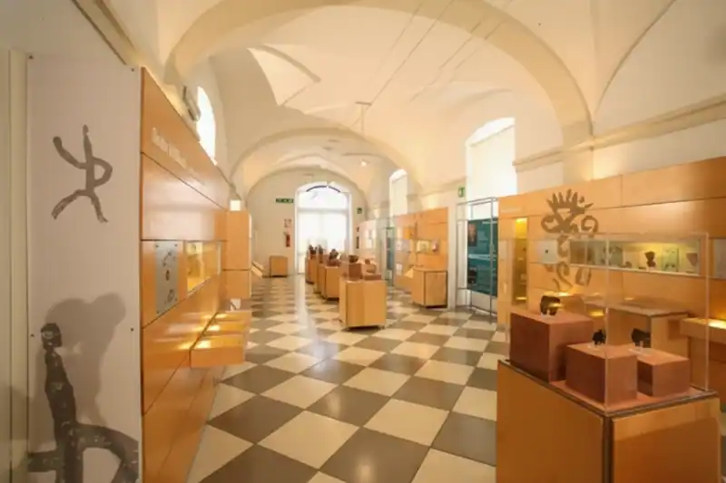 Museo Civico di Paleontologia e Paletnologia Decio de Lorentiis — Maglie
