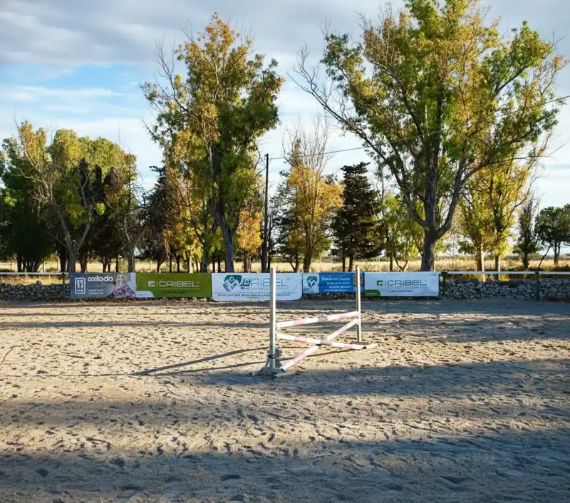 Centro Ippico Argentone — Palombara Piccola