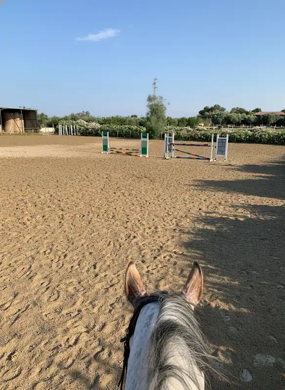 Horseback Riding at Circolo Ippico San Nicola in Bari