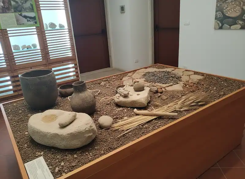 Museo Civico Archeologico del Pulo à Molfetta