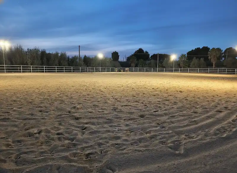 ASD PERAZZO RANCH & MANEGGIO BARLETTA — Barletta