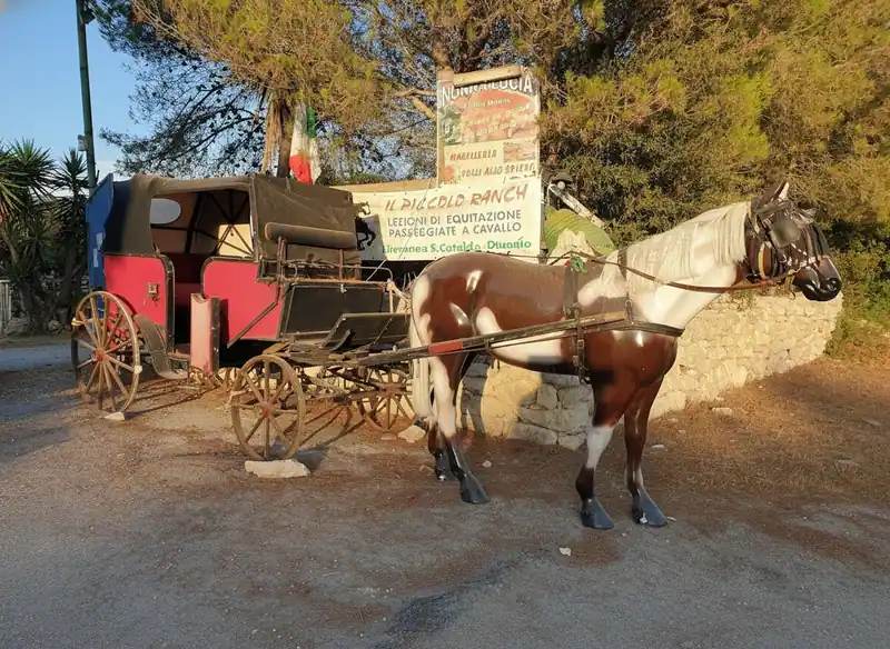 il Piccolo Ranch — San Cataldo