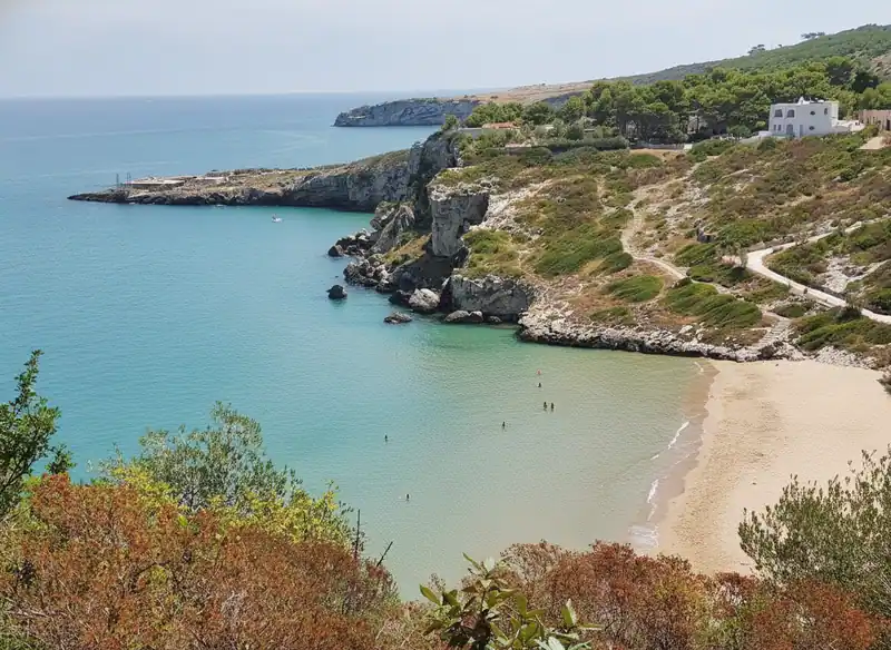 Strand von Procinisco — -